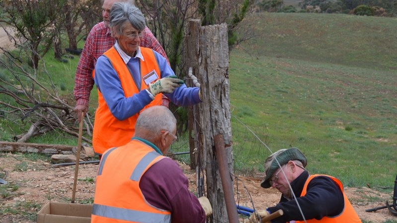 BlazeAid volunteers at work