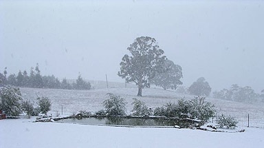 Snow at Tarpeena Retreat in Oberon, New South Wales.