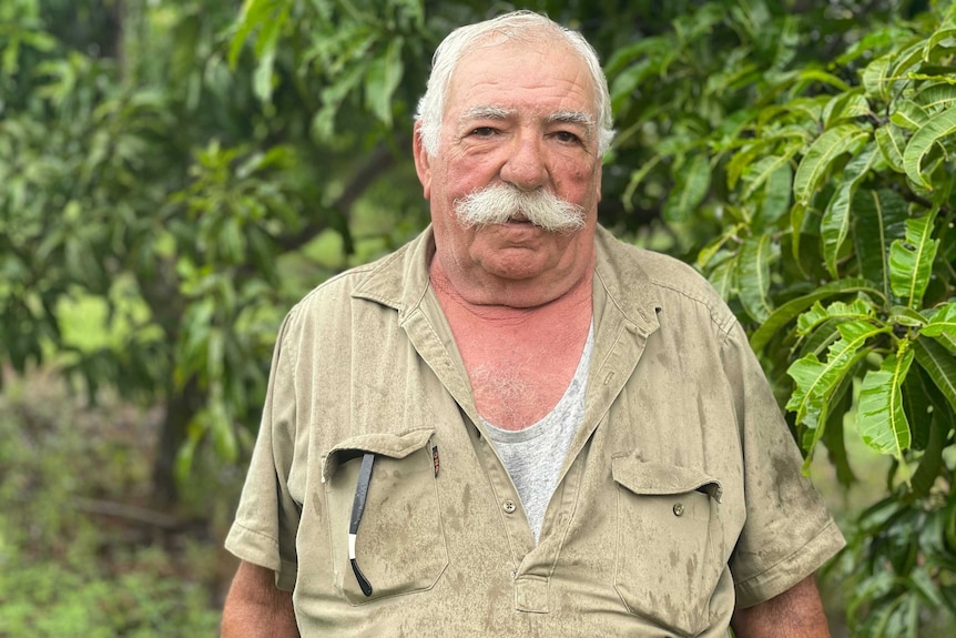 Golden Mango Orchards owner Francesco Ignello stands in an orchid.