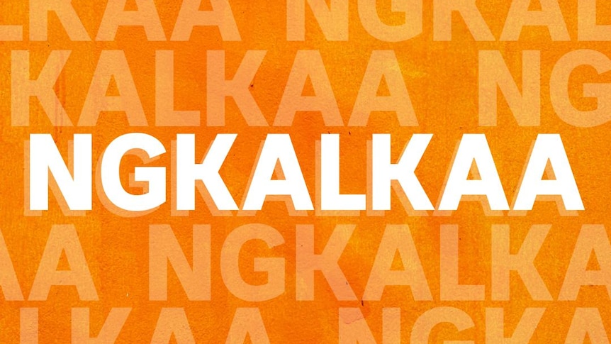 The word 'NGKALKAA' is written in bold white text with an orange background. 