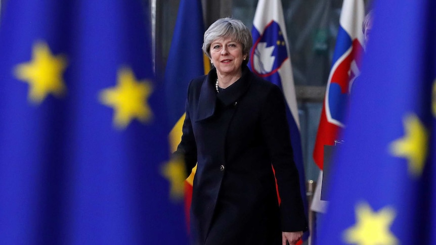 Theresa May standing between two blue flags.
