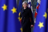 Theresa May standing between two blue flags.