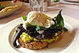 A delicious plate with sourdough toast covered in smashed avo, green leaves and a poached egg