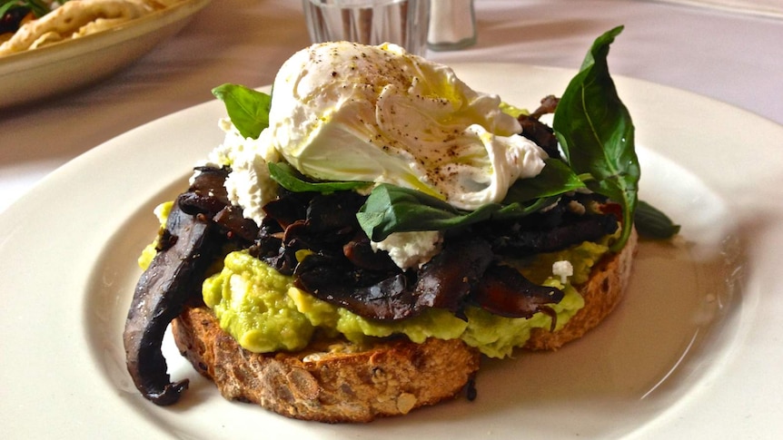 Smash avocado brunch