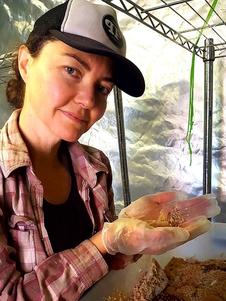 A researcher holding a handful of edible insects