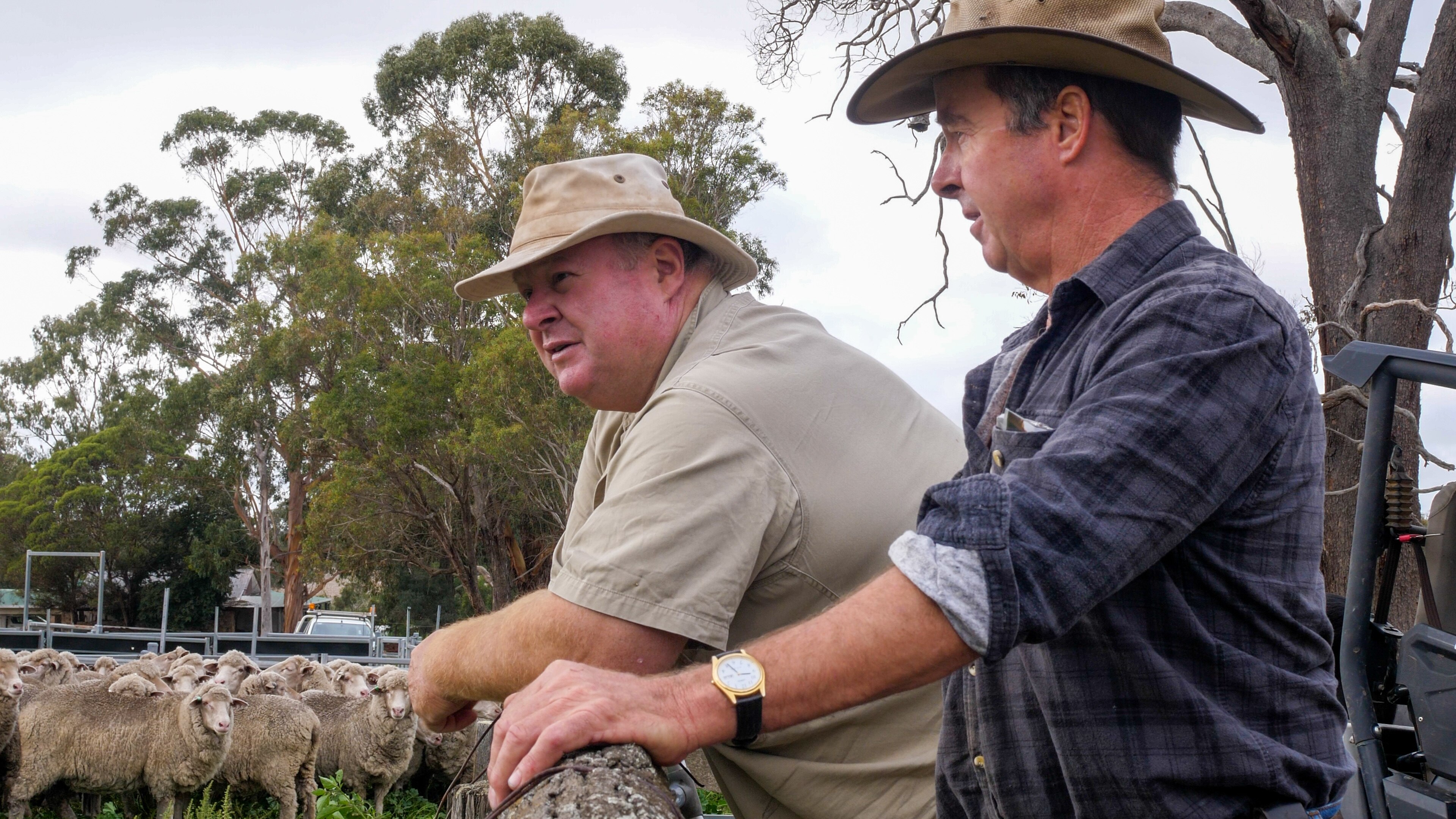 Kojonup sheep farmer employs ingenuity, determination to sideline