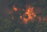 A house is burned in a bushfire