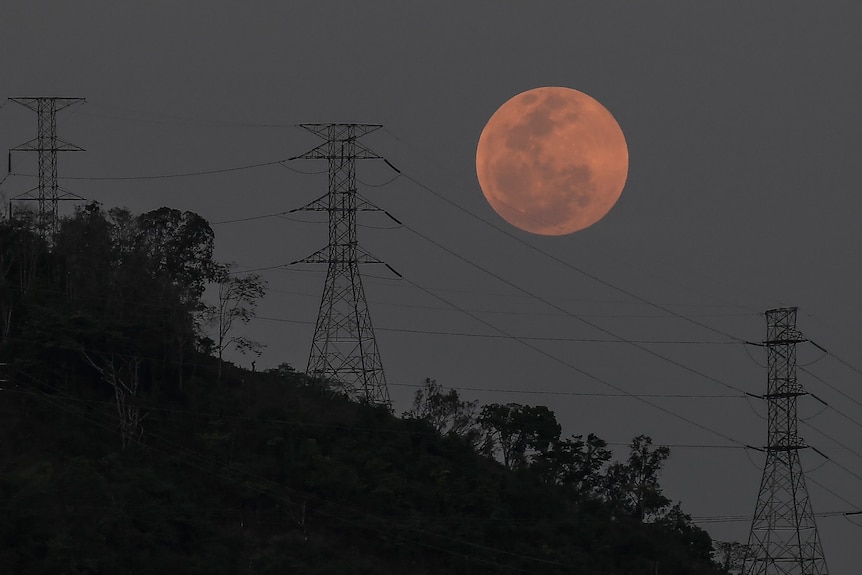A large orange moon in the sky behind power lines