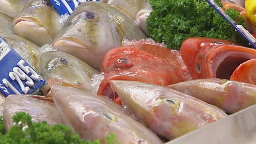 Fresh fish on display in a seafood shop
