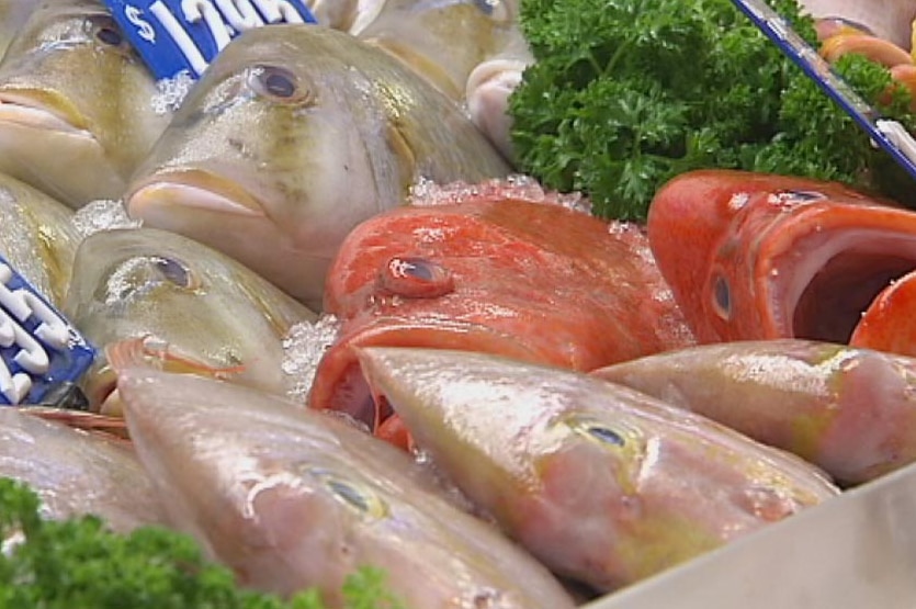 Fresh fish on display in a seafood shop