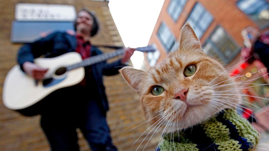 Street musician James Bowen busks with cat Bob in Covent Garden
