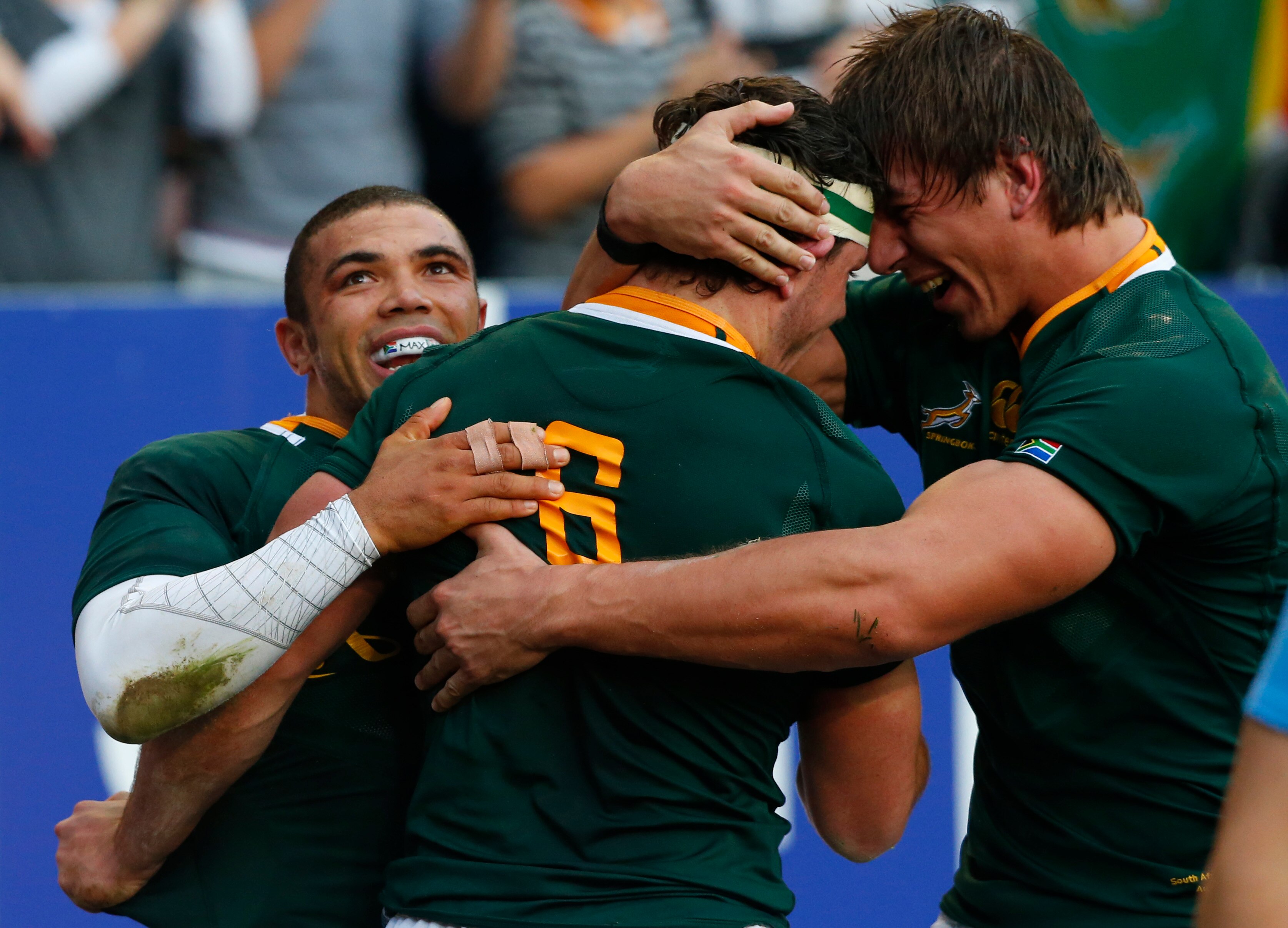 Springboks too strong for debutant Pumas - ABC News