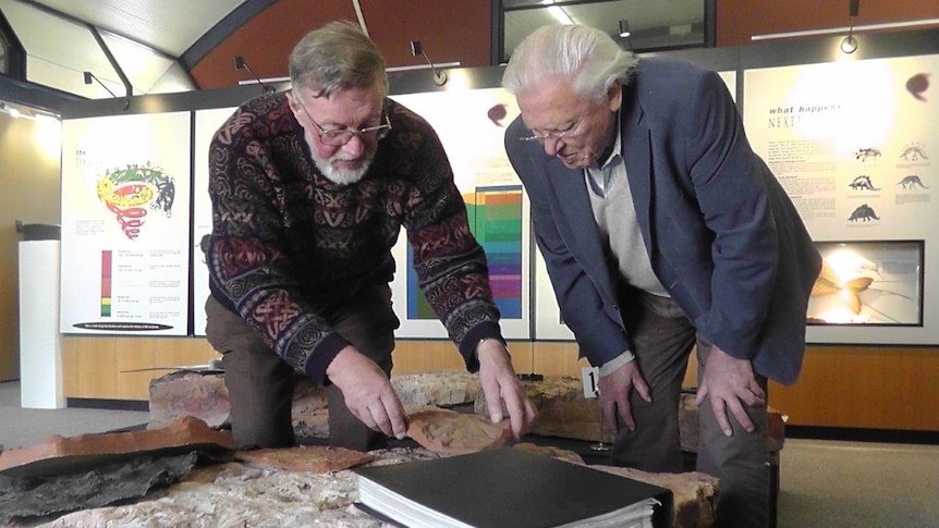 Dr Alex Ritchie and Sir David Attenborough inspecting fish fossil stone slabs.