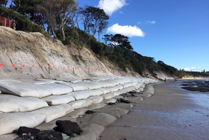 Sandbags and temporary fencing stretch down a beach at the base of a large, eroded sand dunes.