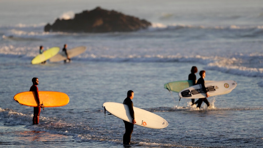 Surfers prepare to enter the water for a sunrise swim at a surf beach in New Zealand.