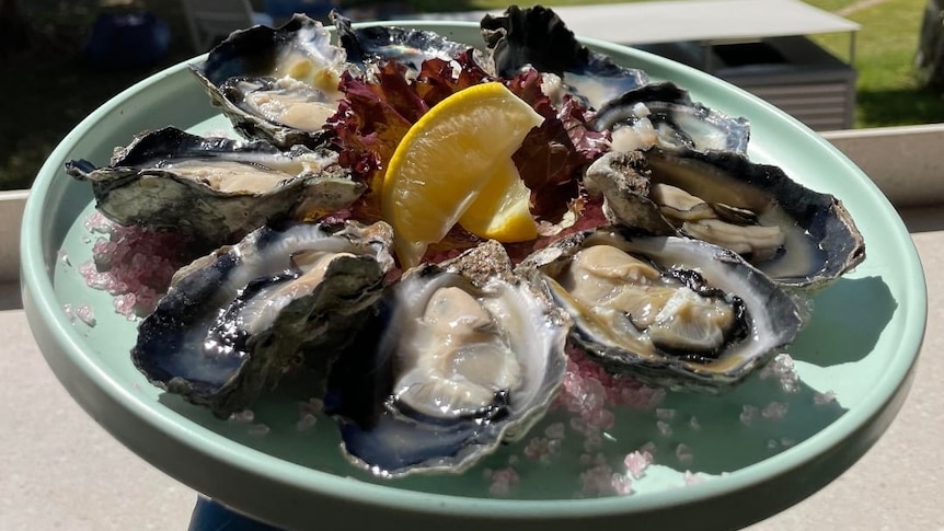 Oysters on a plate in Darwin