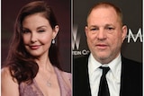 Composition of Ashley Judd and Harvey Weinstein