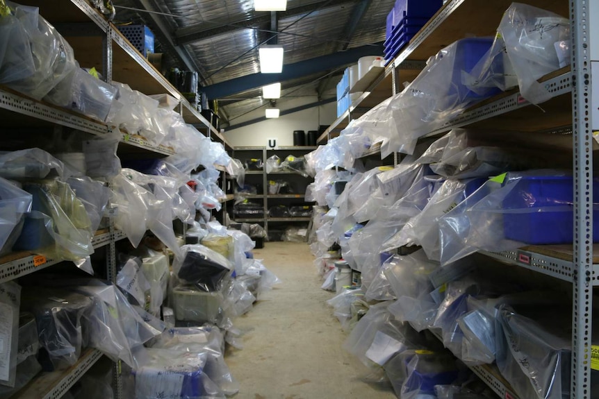 A room with shelves stacked with drug exhibits stored in plastic bags