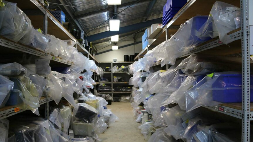 A room with shelves stacked with drug exhibits stored in plastic bags