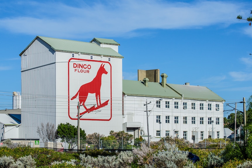 Painting of red dingo on side of a flour mill.