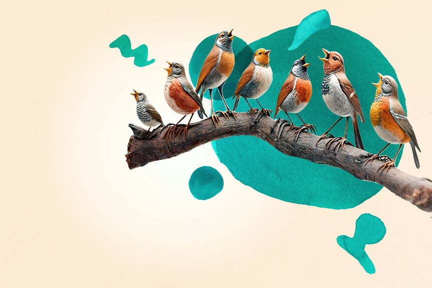 Seven illustrated finches sit on a branch singing. There is watercolour blue music notation behind them. 
