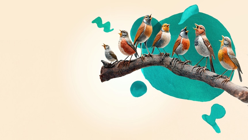 Seven illustrated finches sit on a branch singing. There is watercolour blue music notation behind them. 