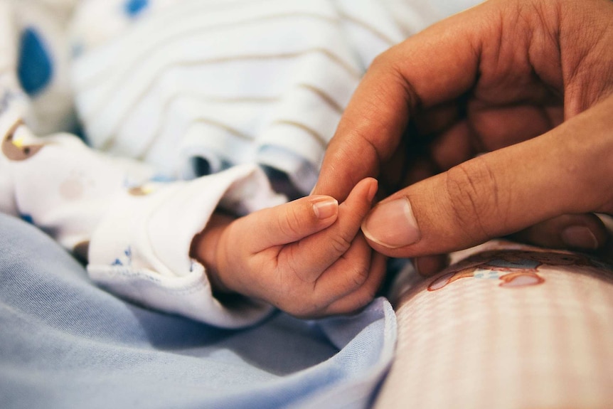 Close-up of a woman's hand holding a tiny baby hand.