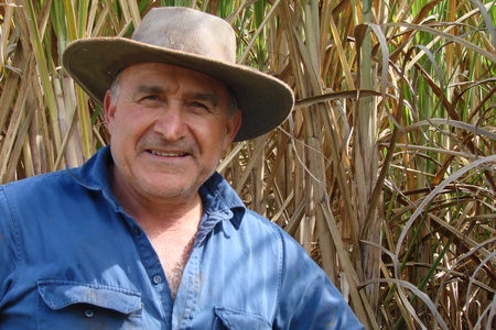 Smut was found on cane grower Joe Russo's property in 2006.