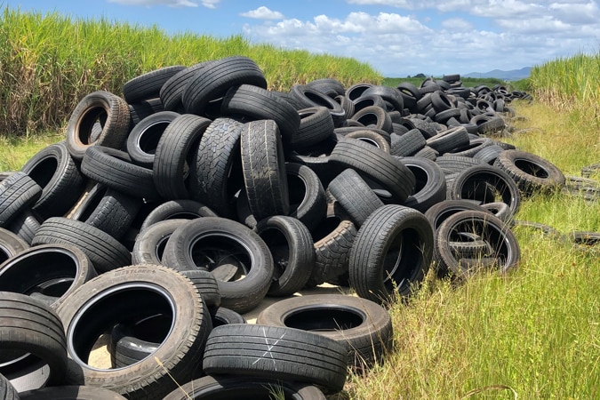 A huge pile of dumped tyres stretches through canefields.