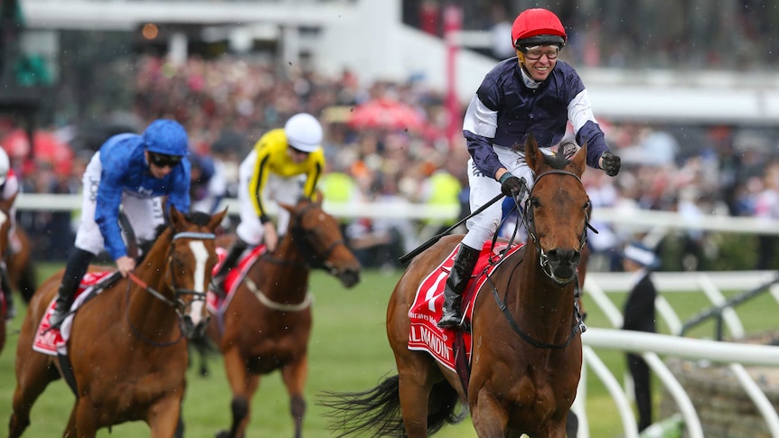 Almandin ridden by Kerrin McEvoy, wins the Melbourne Cup as Hartnell trails behind