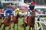 Almandin ridden by Kerrin McEvoy, wins the Melbourne Cup as Hartnell trails behind