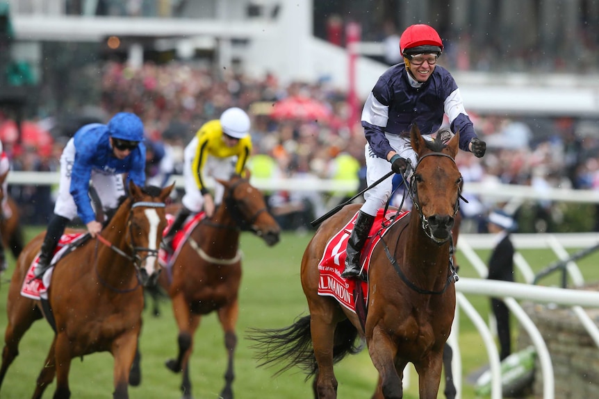 Almandin ridden by Kerrin McEvoy, wins the Melbourne Cup as Hartnell trails behind