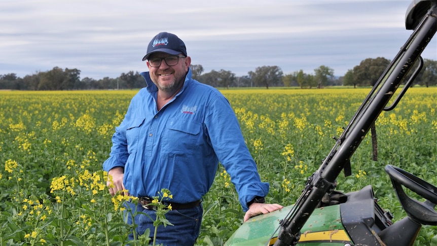 A man stands in a canola field leaning on a vehicle. He is wearing glasses, a blue shirt and dark blue cap