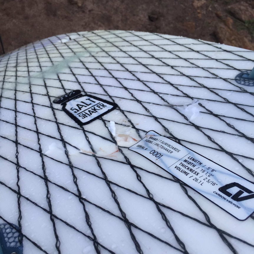 Holes in the bottom of a surfboard after an encounter with a white shark.