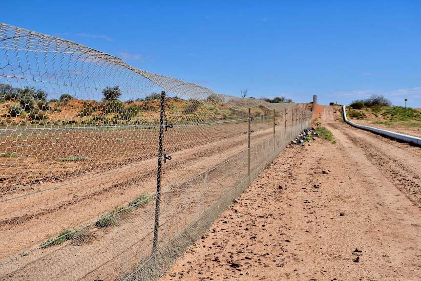 A long wire fence extends into the distance in brown dirt.
