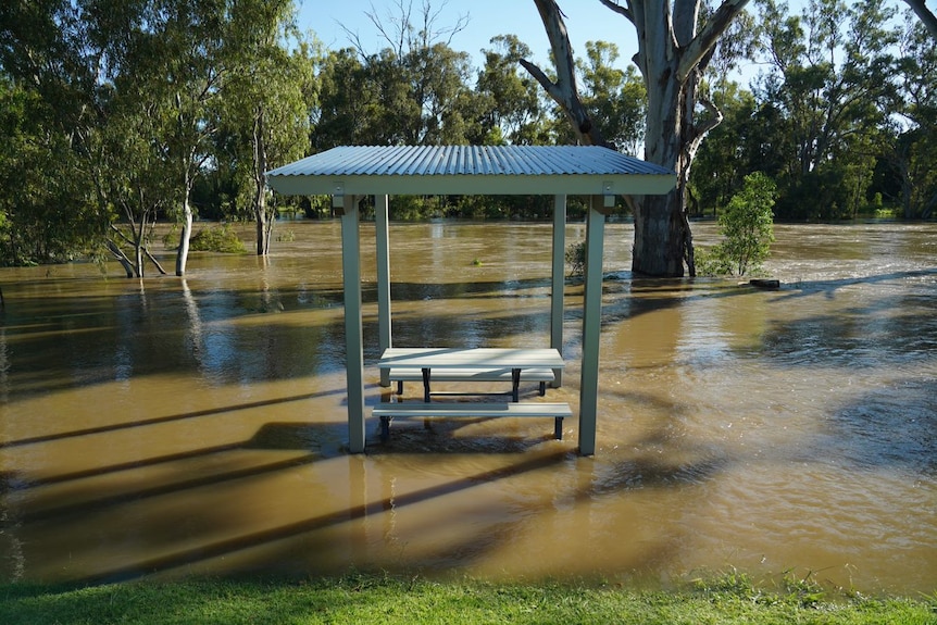 A park bench surrounded by floodwaters.