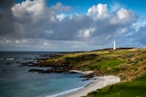 A green golf course adjacent the coastline awash with gold light with a tiny white lighthouse in the background.