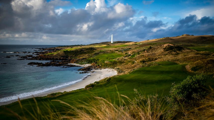 A green golf course adjacent the coastline awash with gold light with a tiny white lighthouse in the background.