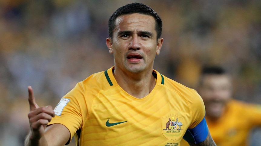 Tim Cahill celebrates a goal for the Socceroos