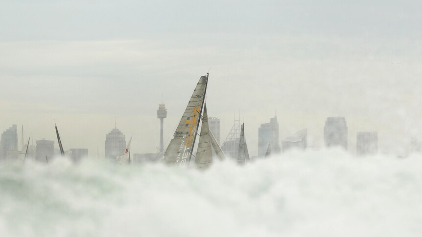 Lahana sails down Sydney Harbour during the start of the Sydney to Hobart yacht race.