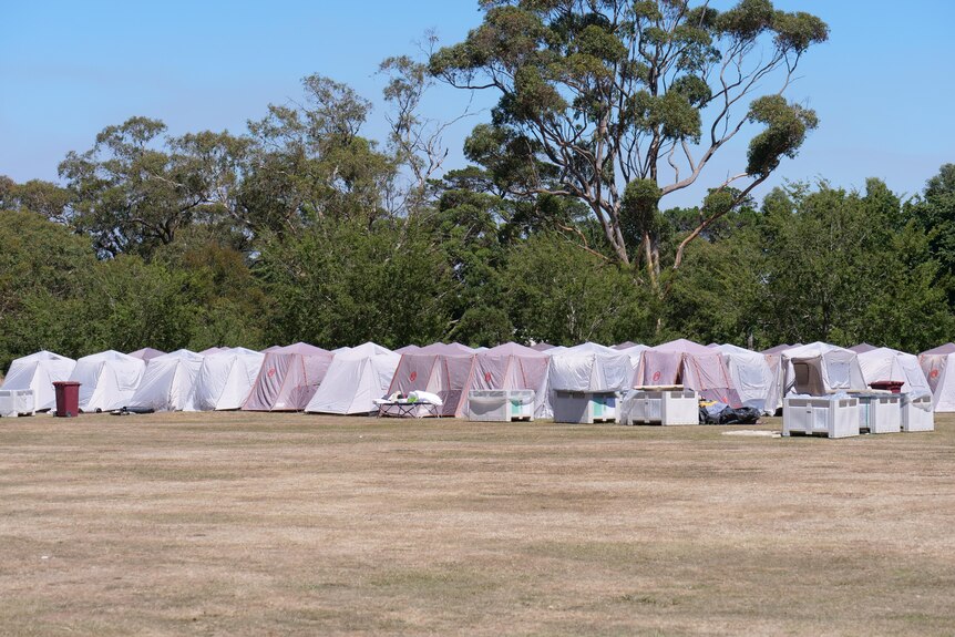Tents set up in a park