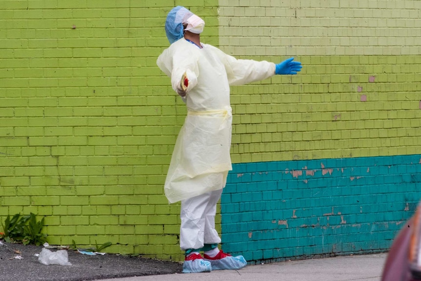 a person in a smock and protective wear stands outside with their arms raised in front of a brick wall painted green and blue