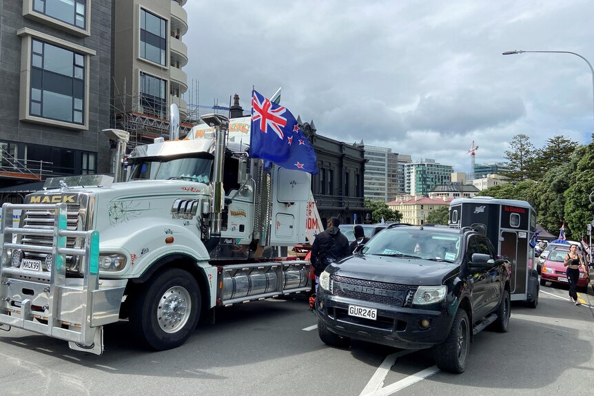 A truck with New Zealand flags flying out the window arrives at the protests. 