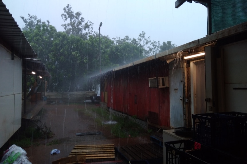 rain falling at a bush shop