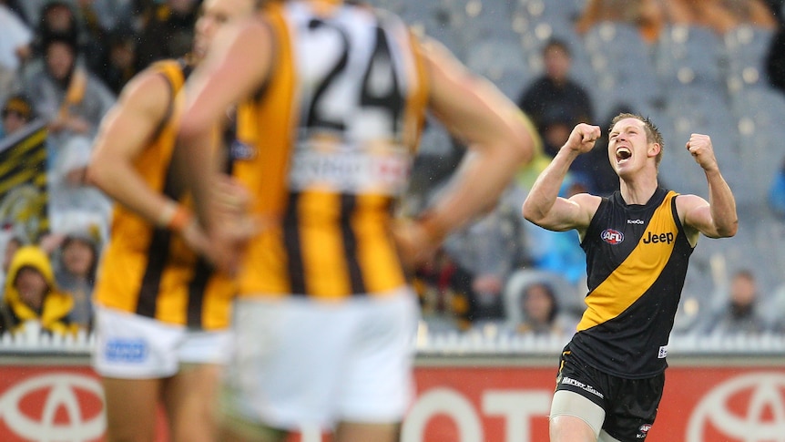 Jack Riewoldt returned to form with six goals in Richmond's win over Hawthorn.