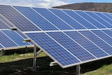 Massive solar panels in a field