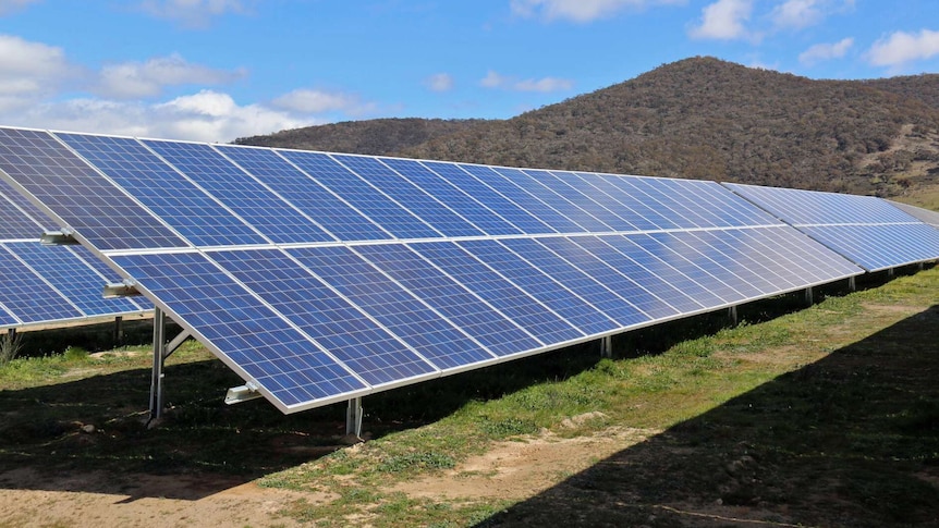 Massive solar panels in a field