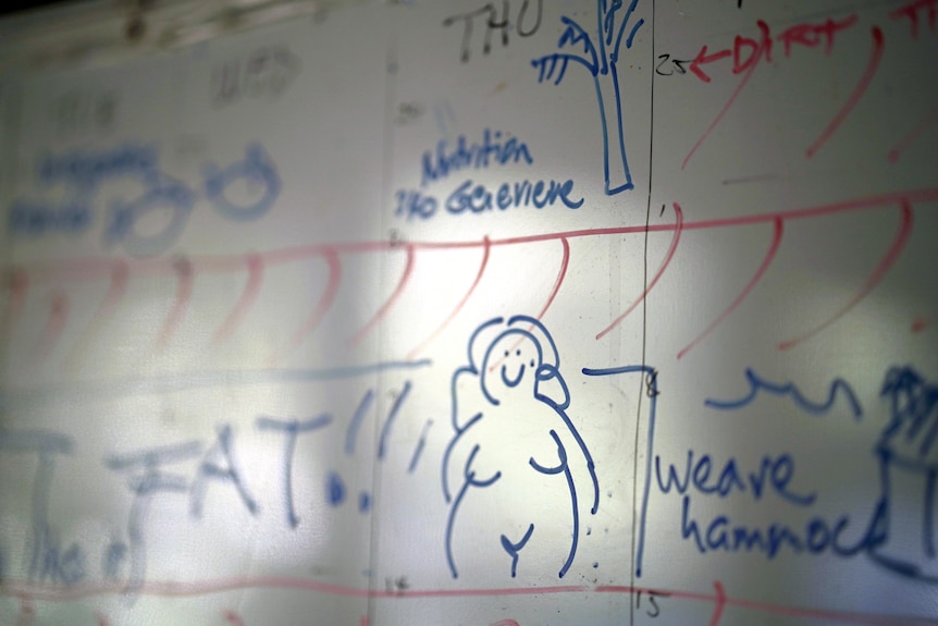 A white board with blue writing, including a cartoon drawing of a woman