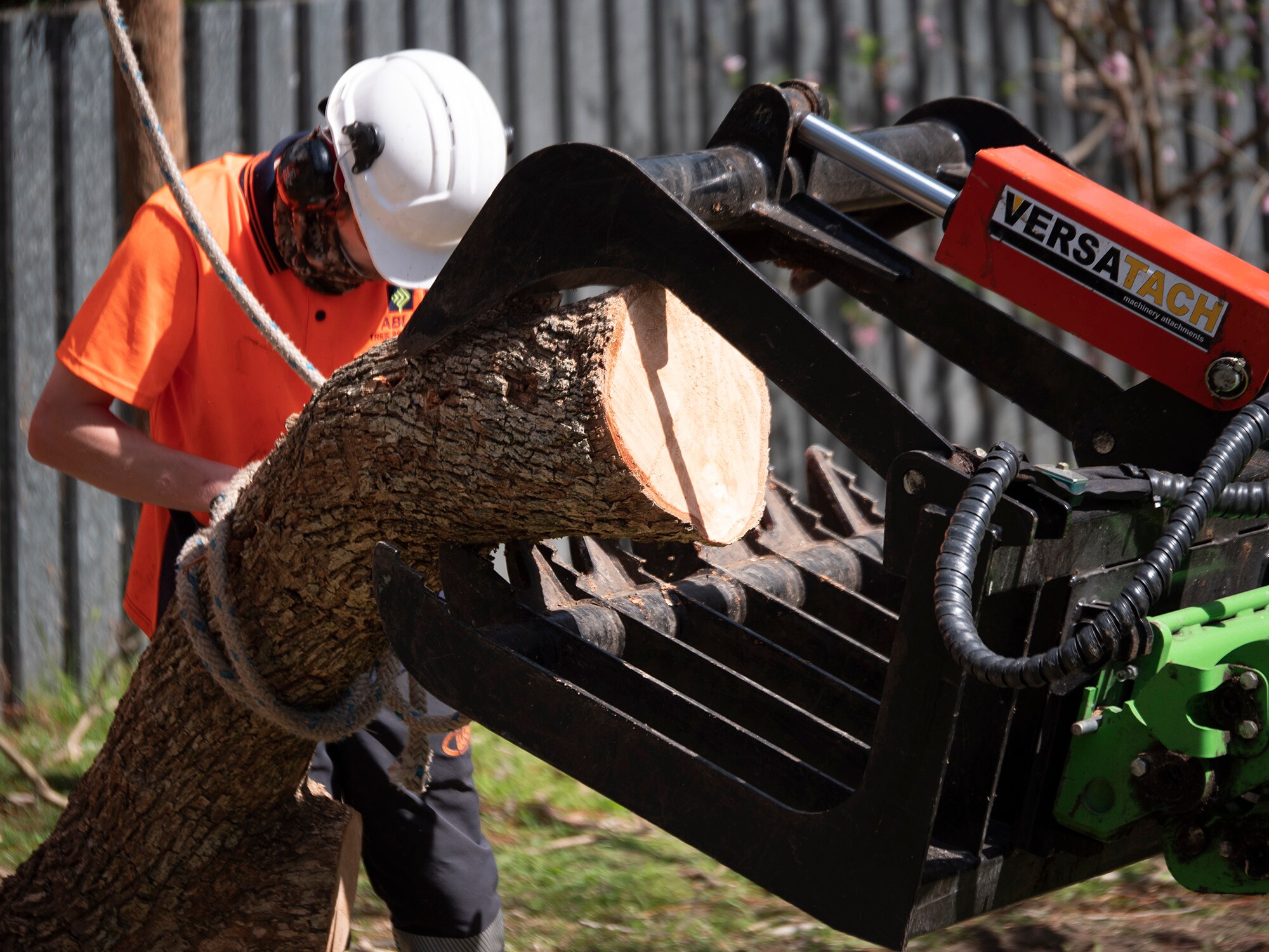 Dale una tajada a los podadores de árboles que golpean puertas
