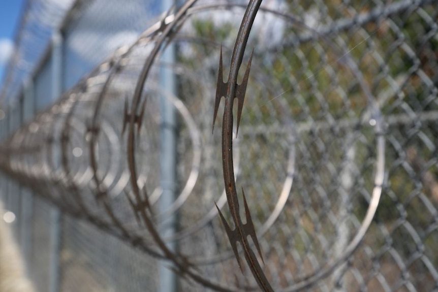 Close-up of sharp razor wire at the North East Gate at Guantanamo.